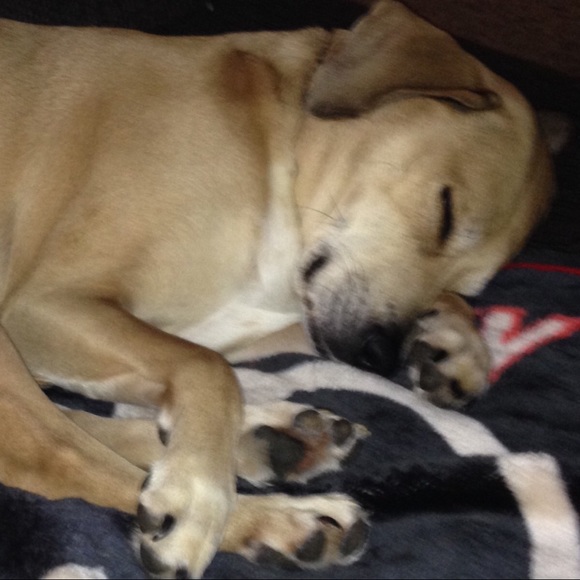 Meet your Posher, Cathy - Picture 1 of 1